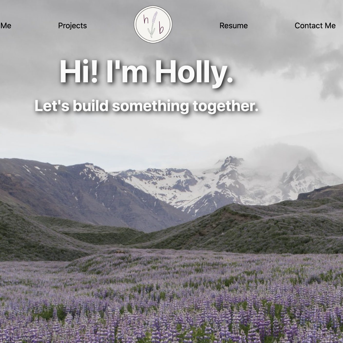 A screenshot of the holly-codes.com homepage
